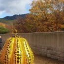 헬로,안양위드러브 이미지