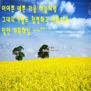 모음집 이미지