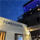 테라스시