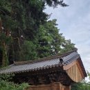 신흥사 구 대웅전 | 삼척시 근덕면 태백산 신흥사(20250828)