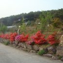 산너머남촌 이미지