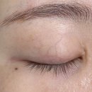 상남동173 | 창원 상남동 속눈썹펌 던브로우 후기!