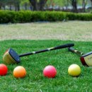 파크골프 입문 이미지