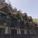 칠갑산자연휴양림 이미지