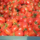 이원재 농장 이미지