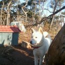 현주네농장 이미지