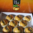 유성농장 5농장 이미지