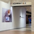 구름다리농장 | 대구 최초 위시캣 콜라보 대구아쿠아리움 아이랑 가기 좋은 실내 나들이