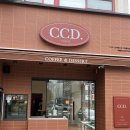 씨씨디(CCD) 거제중곡점 | 거제도 카페 CCD거제중곡점 +하면옥 +마고트홈 솔직후기