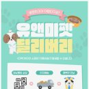 안양고양이분양