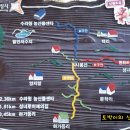 서봉산 산림욕장 2 이미지