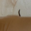 뉴플러스농장 이미지