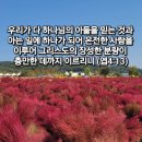 토요묵상 이미지