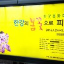 월드컵경기장 3가 4 이미지