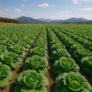 농부의아침영농조합법인 이미지