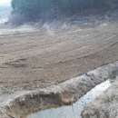 상조농장 이미지