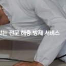 관항길 이미지