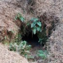 제주 송악산 외륜 일제동굴진지 이미지