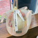 애인1 | 애인 부모님·할머님 인사 선물 추천! 플레르망고 과일바구니 후기 🍎💛
