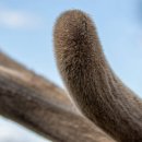 무궁화한의원 이미지