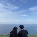 해연막걸리 | 반려견과 함께한 포항 여행