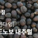 그린내추럴 이미지