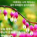 느낌!! 이미지