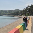 천사마트 | [신안 여행] 자은도 '천사섬 캠핑&amp;글램핑' 내돈내산 후기: 아이와 함께 갯벌 체험부터 불멍까지!