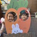 주황데이&amp;무비데이 이미지