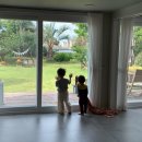 스테이비갠오후 이미지