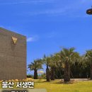 그릿비 | 탁 트인 바다와 모래놀이 카페 울산 간절곶 그릿비 내돈내산 힐링 후기