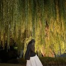 엔젤상사 | 11월의 한 달(매우 힘듦)