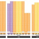 더 퍼스트 피트니스 이미지
