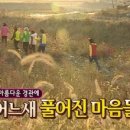 피스네일