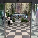 씨티하이퍼 | 부산 신세계센텀 하이퍼가든 팝업 후기, 인생샷 명소!