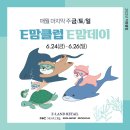 데이맘 이미지