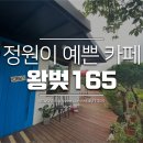 왕벚165 이미지