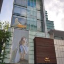 씨젤리피쉬 이미지