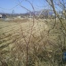 남한강 자전거도로 이미지