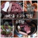 행정용 35번 | 매탄동맛집 소고기맛집 소주행 소가주는행복 육류식당 리뷰