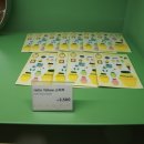 제주 부영리조트 이미지