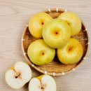 서양유통 | 아산 그린시스 배 전참시 이영자 초록배 어디서 살까? 수확시기·가격·맛·후기