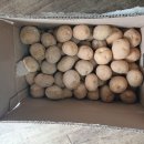 공드린떡 이미지