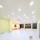 모글리몽 이미지