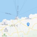 낭그늘 펜션 | 제주도 여행 제주도 감성 담은 한적한 독채 자쿠지펜션 에어비앤비 숙소