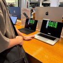 쑥티마을 | 어쩔 수 없는 고전적 조건형성