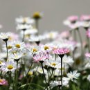 포항시북구41 이미지