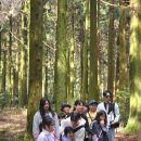 외도검도관 이미지