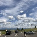 바른길약국 이미지