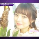 워너비컴퍼니
